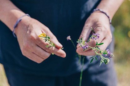 Balade à Pont-de-Loup