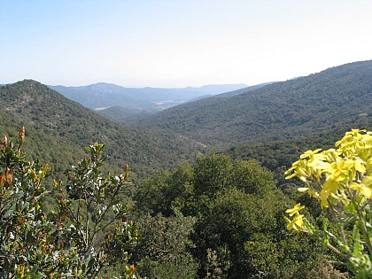 Randonnée - Les Hauts de Bormes