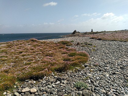 Découverte des patrimoines de l'île de Sein