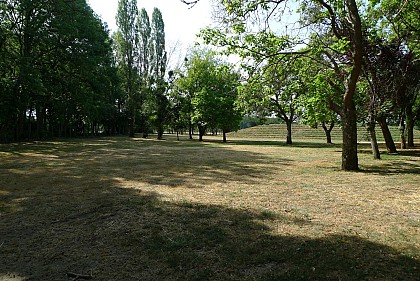 Un théatre de verdure