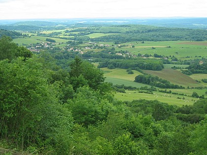 Circuit pédestre de découverte de la Mirabelle - Fallon - Vallée de l'Ognon