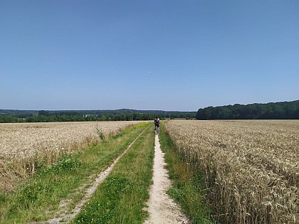 Les coteaux de la Remarde