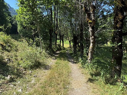 Rando-poussette des Mazoirs