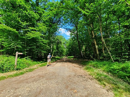 Randonnée à Verneuil - Boucle des Échards