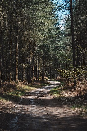 Circuit de l'étang du Moulin des Defays