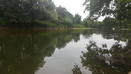 CHALONNES SUR LOIRE : De Louet en Corniche