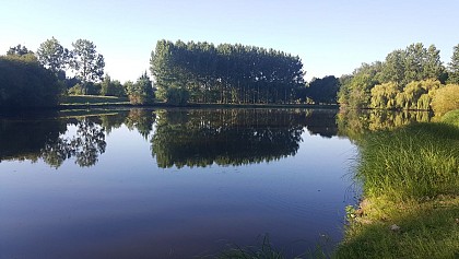 ROCHEFORT SUR LOIRE - Boire de la Ciretterie