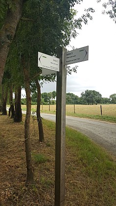 ROCHEFORT SUR LOIRE : Vallée Loire - Louet