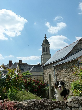 SAINT GERMAIN DES PRES : Le Chêne Vert