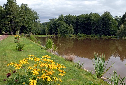 Circuit pédestre "Le sentier des étangs et des fontaines" - Vosges du Sud