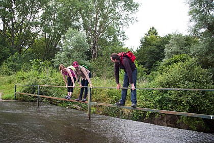 Balade à pied n°28 - le suin, du calcaire à l'argile
