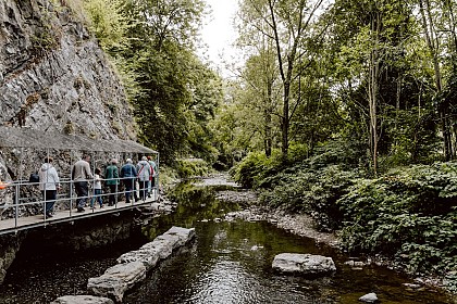 Big Crossing in the Pays de Chimay Forest – Chimay - Nismes