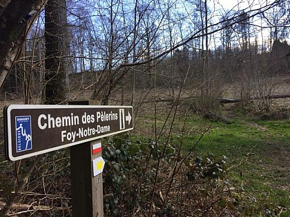 Chemin des Pélerins (Foy)