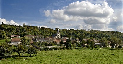 Balade au Naturel - La Découverte de la Vallée Marchal