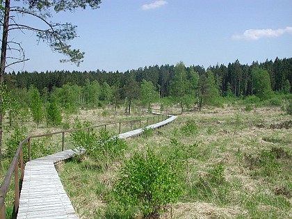 La Fange de l'Abîme 41