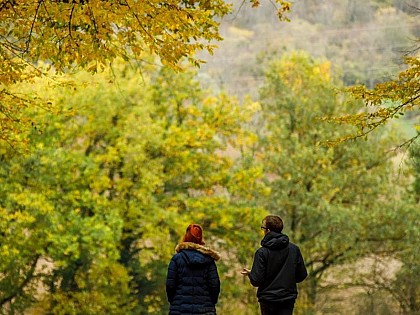 Circuit du bois de Thionville