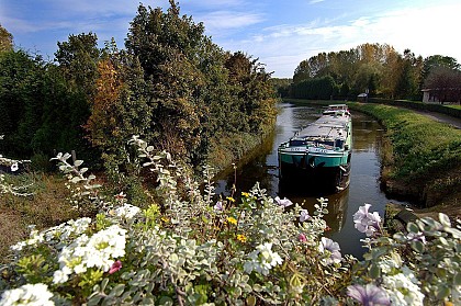 Les Bords de la Scarpe
