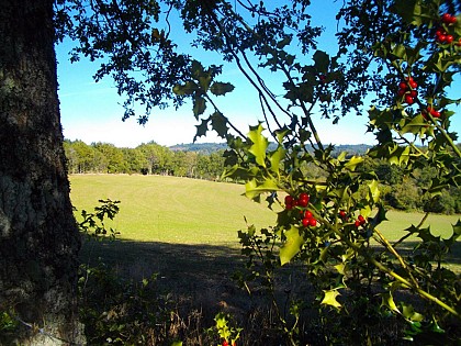 Au charbon ! (variante 2 de 9.5 km)