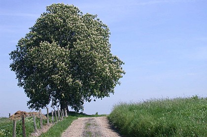 Boucle 2 - Liaisons inter-villages Fernelmont