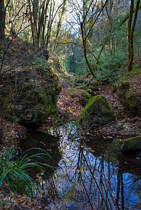 Promenade : Cascade de Gourbachin - Bagnols-en-forêt