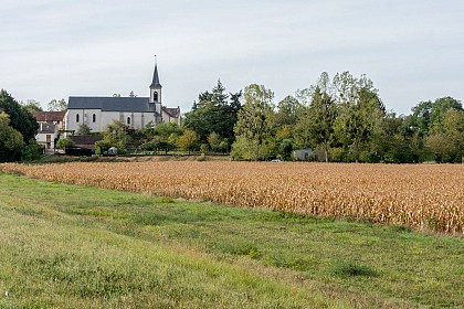 Saint-Martin-sur-Ocre : Circuit du Crapot