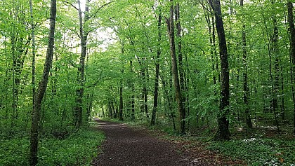 Circuit n°3 - Entre ciel et terre