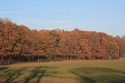 Entre la vigne et la Loire aux Girarmes