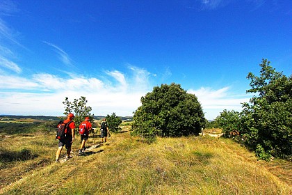 CHEMIN D'EN BASTIDE