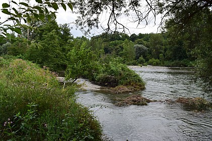 BEAUCHALOT : LE SENTIER DES BORDS DE GARONNE