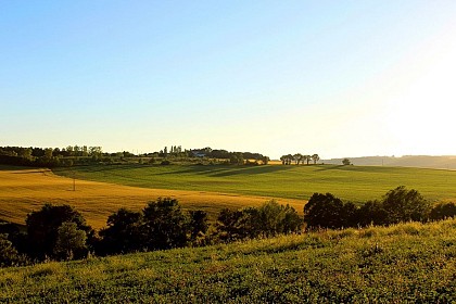 LIAISON  MONTAIGUT-DAUX