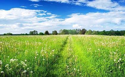 BOUCLE DE BRETX-THIL