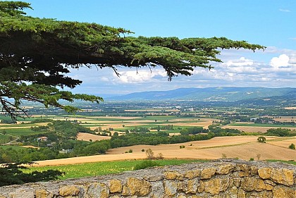 CHEMIN DES FOURCHES ET DES COLLINES