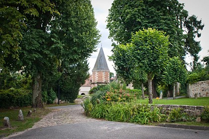 Oigny, un essart en forêt de Retz