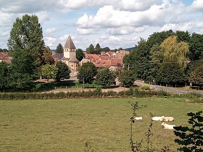 Des vignes et des champs