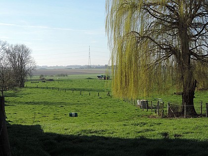 Les Fouilles – Mellet