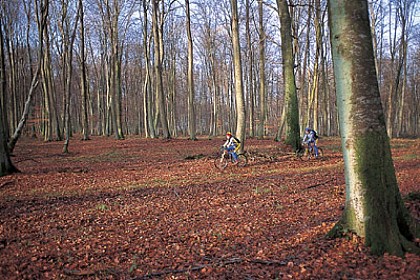 Le mur du parc à VTT