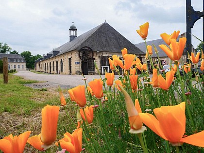 Le circuit des Forges Royales