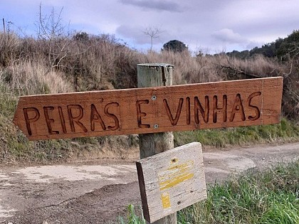 Péiras e Vinhas