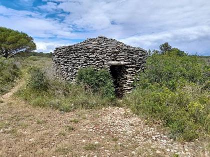 Dry stone and scrubland