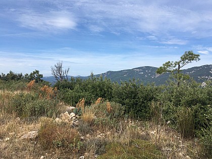 Promenade: Les Deux sommets de la Pigne - Seillans