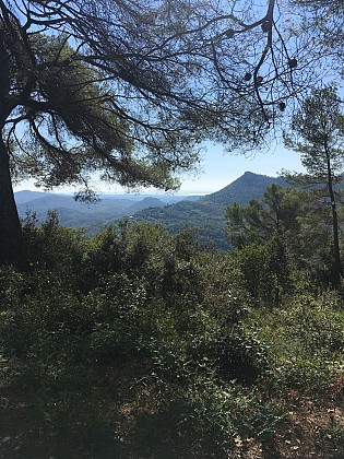 Promenade : La Rouvière - Bagnols-en-forêt
