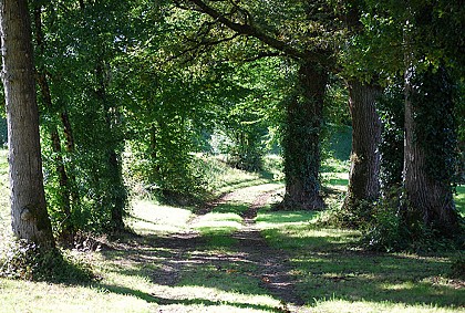 La Boucle VTT de Bosmie l'Aiguille - Circuit n°3 Val de Vienne Tour
