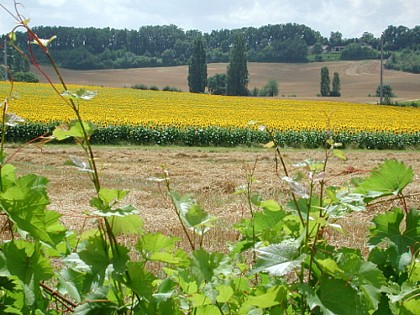 Montaut, la balade du prieuré