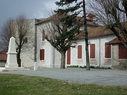 Dolmayrac / Saint-Orens, les pruniers de la vallée du Lot