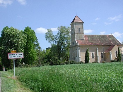 Sainte-Maure-de-Peyriac, l'arbre et le cep