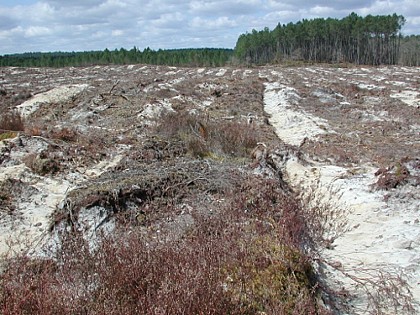 La Taillade, par les églises de Beyrac et Couthures