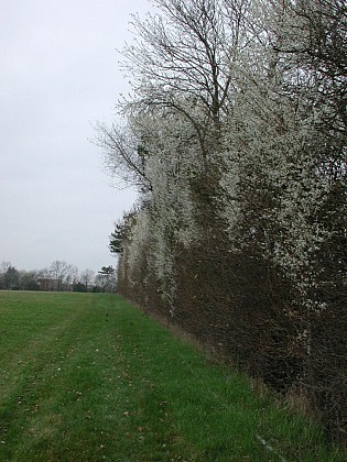St-Aubin, la randonnée de Couzétou