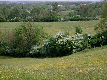 Saint-Pardoux-Isaac, vers l’église de Saint-Laurent