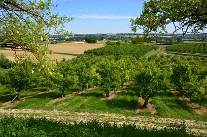 Monteton, sur les berges du Dropt