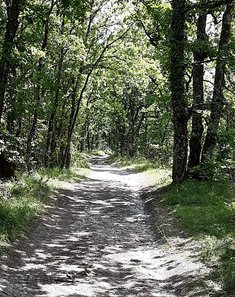 Ferrensac, une randonnée entre plaine du Dropt et coteaux